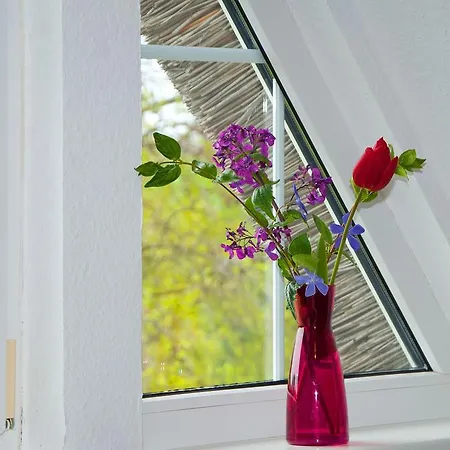 Ferienappartement 