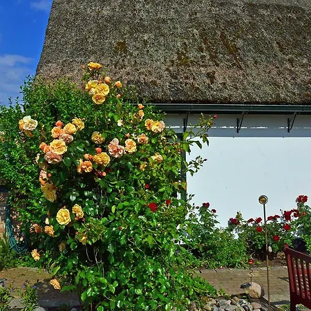 Ferienappartement 